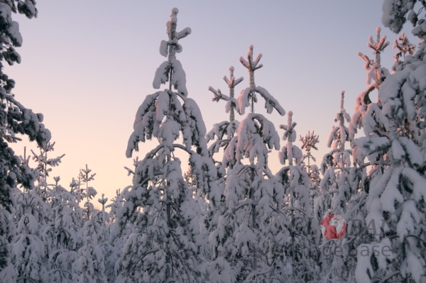 winter in oulu