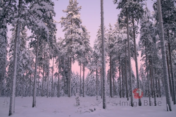 winter in oulu