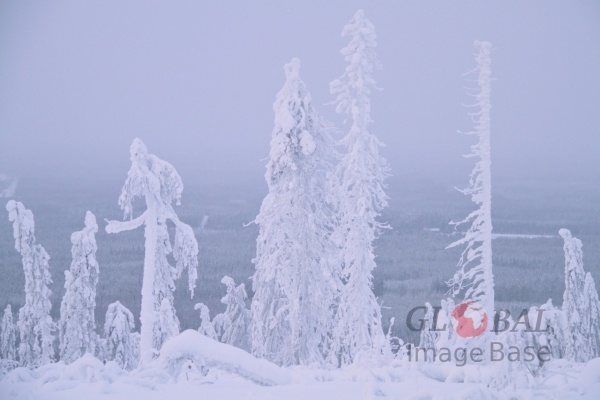 Kivesvaara in winter