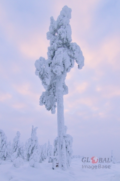 Kivesvaara in winter