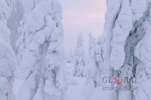 Kivesvaara in winter