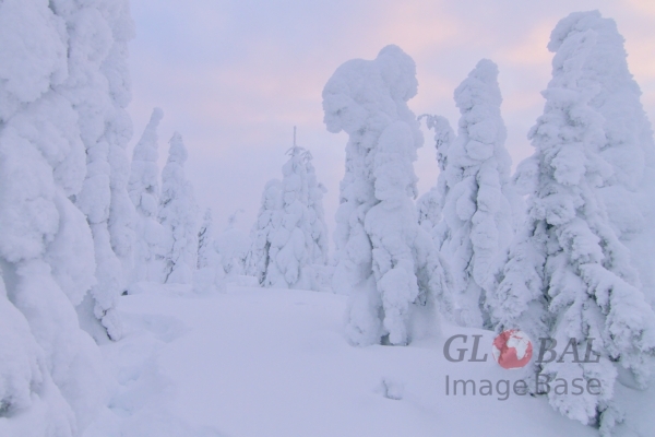 Kivesvaara in winter