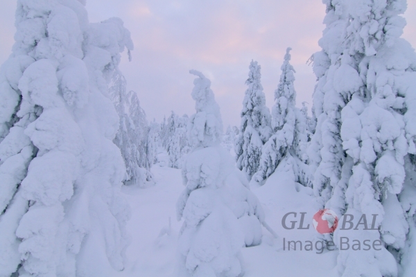 Kivesvaara in winter