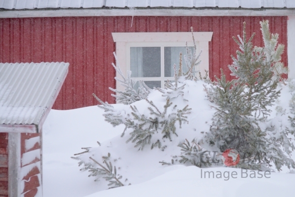 Hailuoto winter